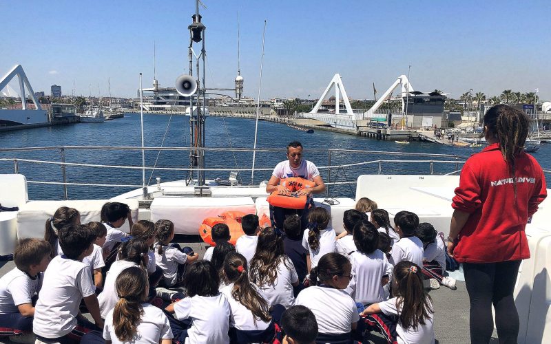 MEDIOS DE TRANSPORTE