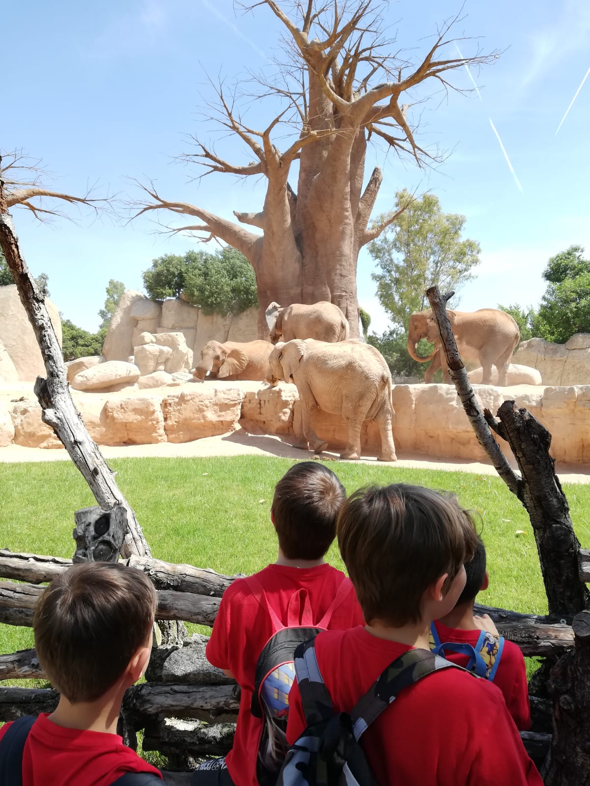 DESCUBRE AFRICA - BIOPARC