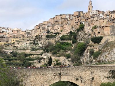 GRANJA ESCUELA SIERRA DE MARIOLA