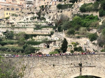 GRANJA ESCUELA SIERRA DE MARIOLA