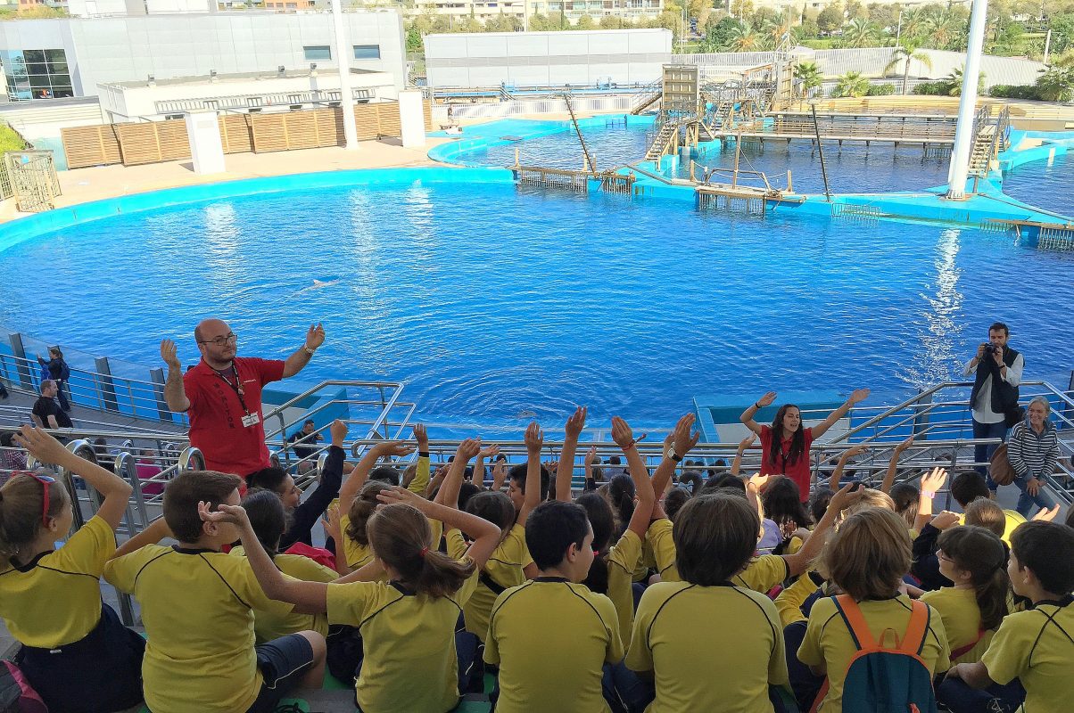 CIUDAD DE LAS ARTES Y LAS CIENCIAS