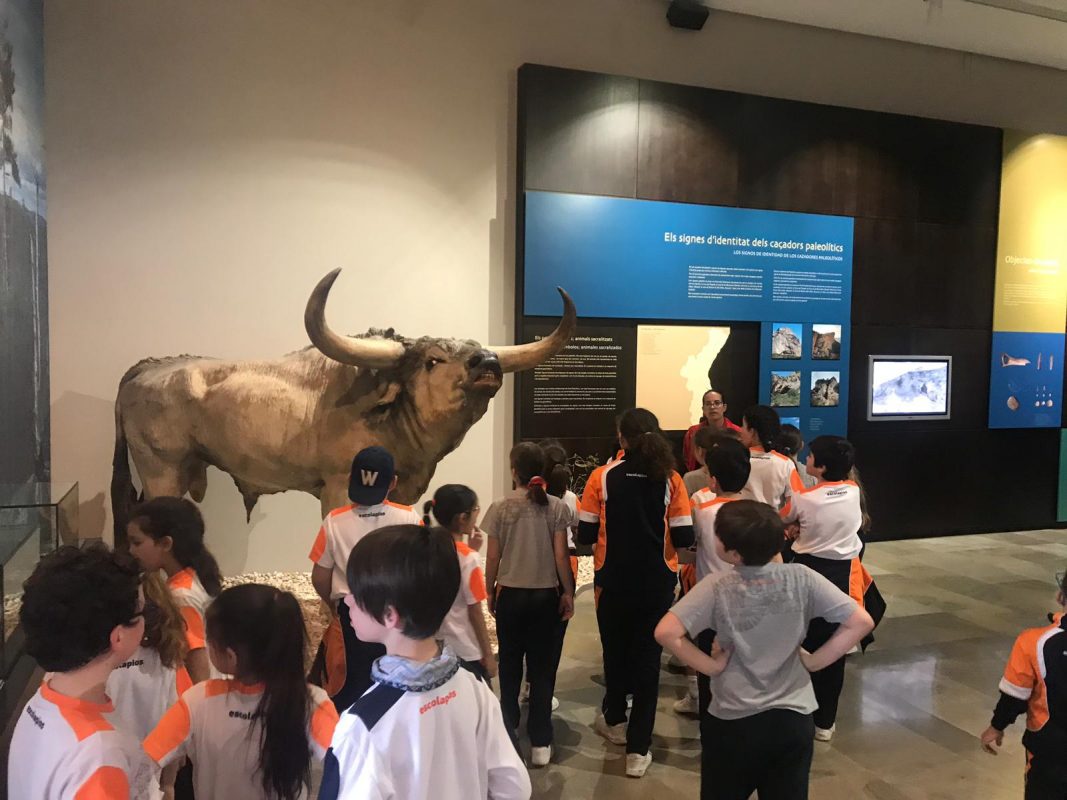 LA VALLTORTA Y LA CUEVA DEL CABALLO - TIRIG