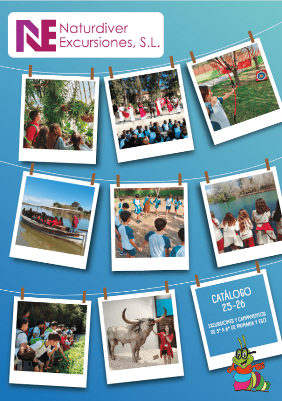 Catalogo 2025-2026 mayores