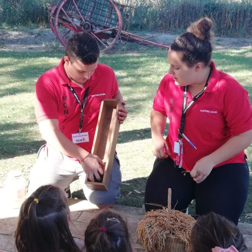 313b7a64-84ce-4e7f-955d-8d10c9d03242