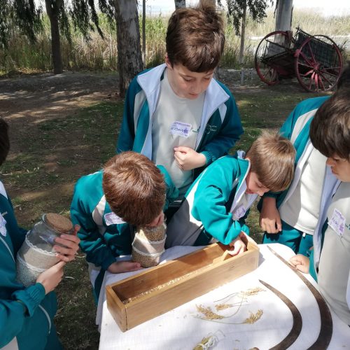 37f9d40d-8fa6-492f-9ecc-0c2583ac1785