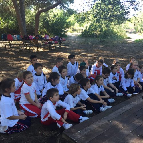 LAS CUATRO ESTACIONES