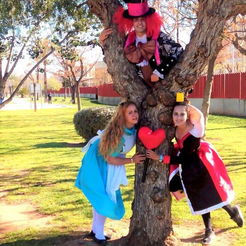 ALICIA EN EL PAIS DE LAS MARAVILLAS