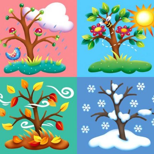 LAS CUATRO ESTACIONES